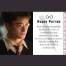 Мини книга Harry Potter: Gryffindor (Tiny Book)